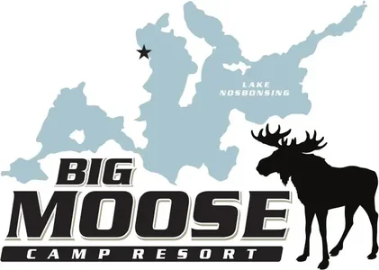 Big Moose Camp logo